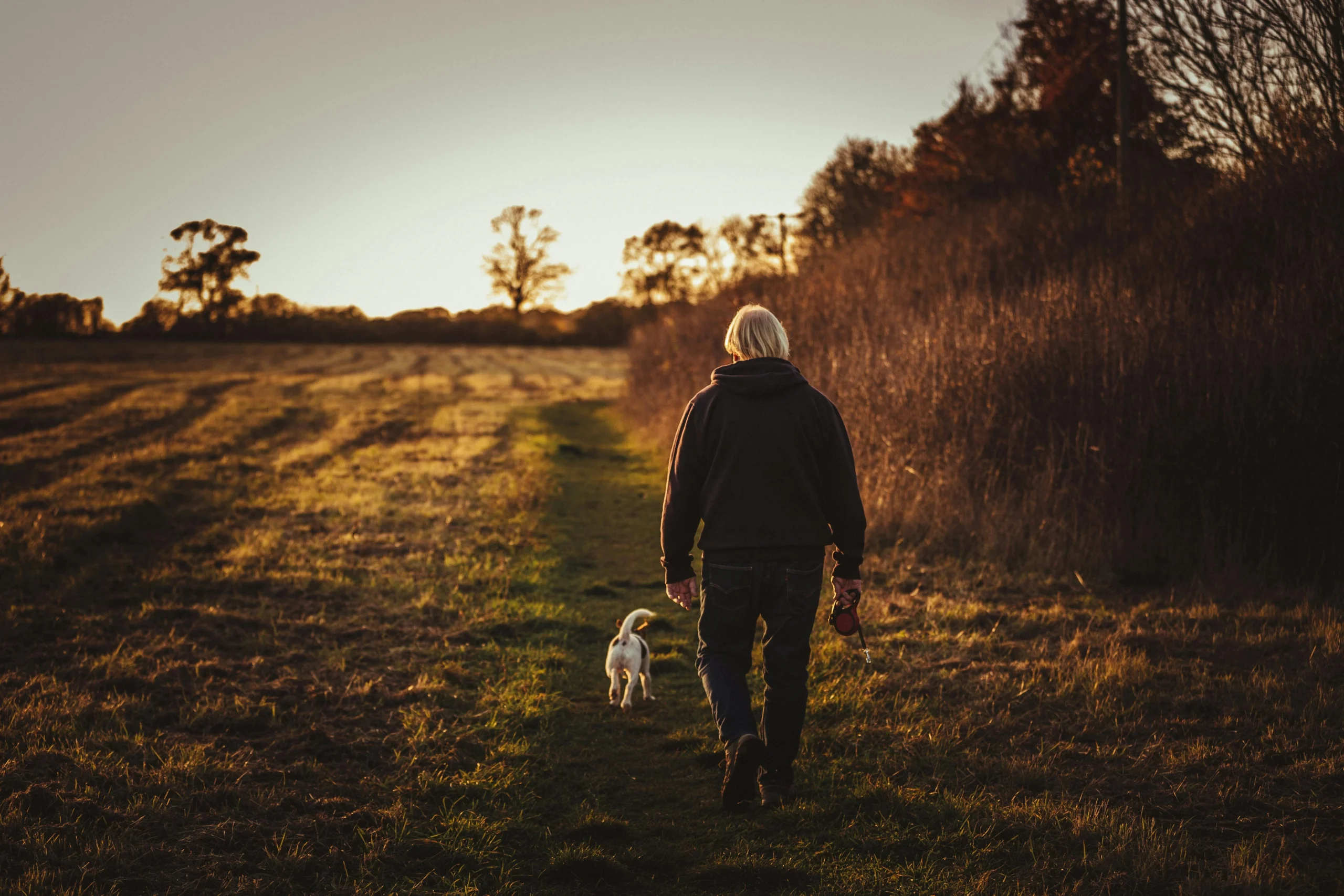 A Man Walking a Dog As Side Hustles That Work Best in 2024