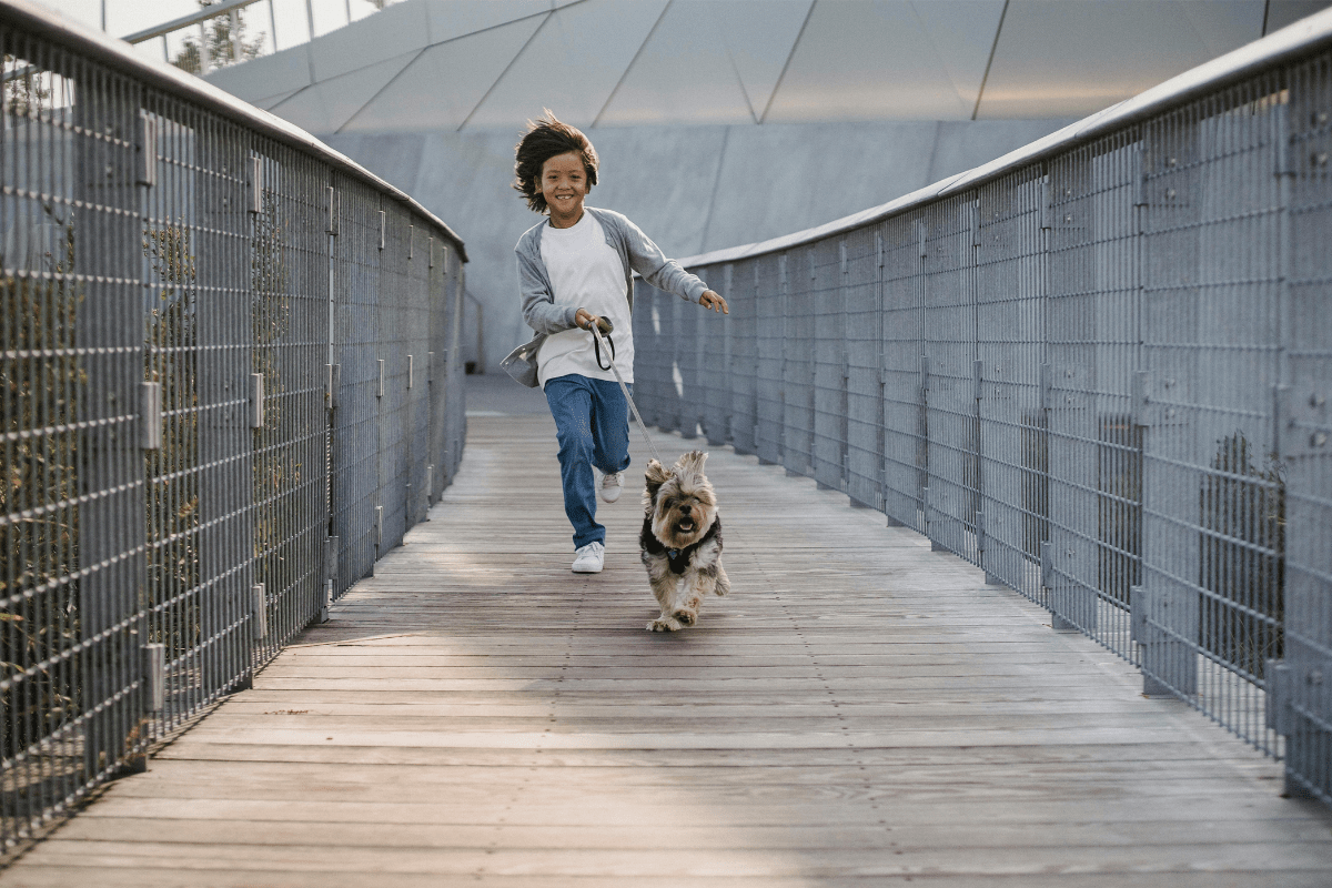 Dog Walking - How to Make Money As a Kid A Young Girl is Walking a Dog Illustrating How to Make Money As a Kid