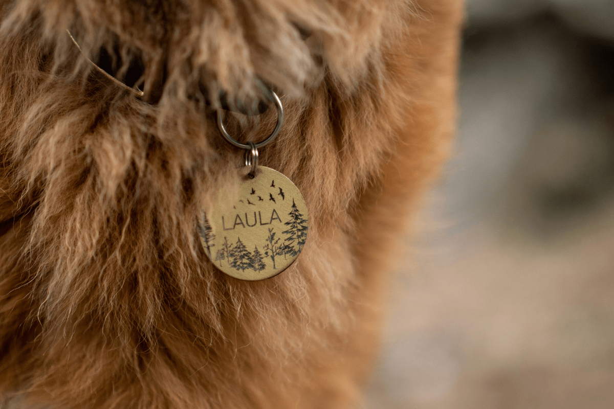 Pet Accessories - Best Things to Sell on Etsy to Make Money A Pet Wearing a Tag Named "Laula" Illustrating Best Things to Sell on Etsy to Make Money