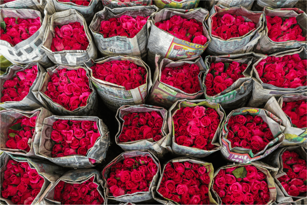 Stacks of Paper Bags Filled with Roses Can Be Seen Illustrating How to Start a Floral Business